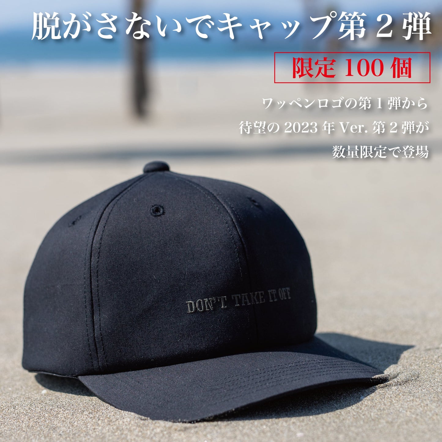【第2弾】"脱がさないで"キャップ~限定100個~
