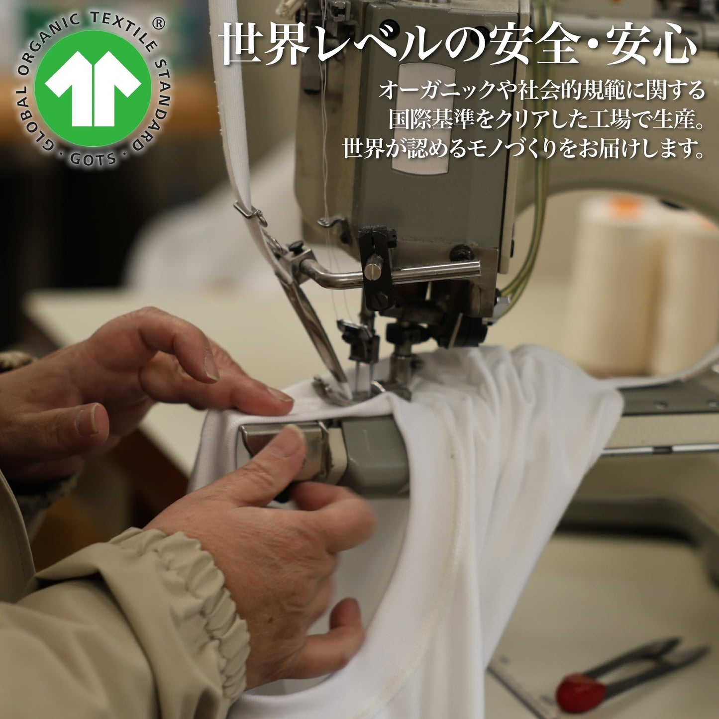 "こなれ感"を演出する「とろける高級ロンT(シーアイランド種)」