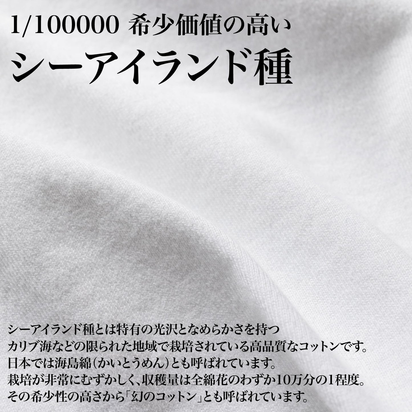 "こなれ感"を演出する「とろける高級ロンT(シーアイランド種)」