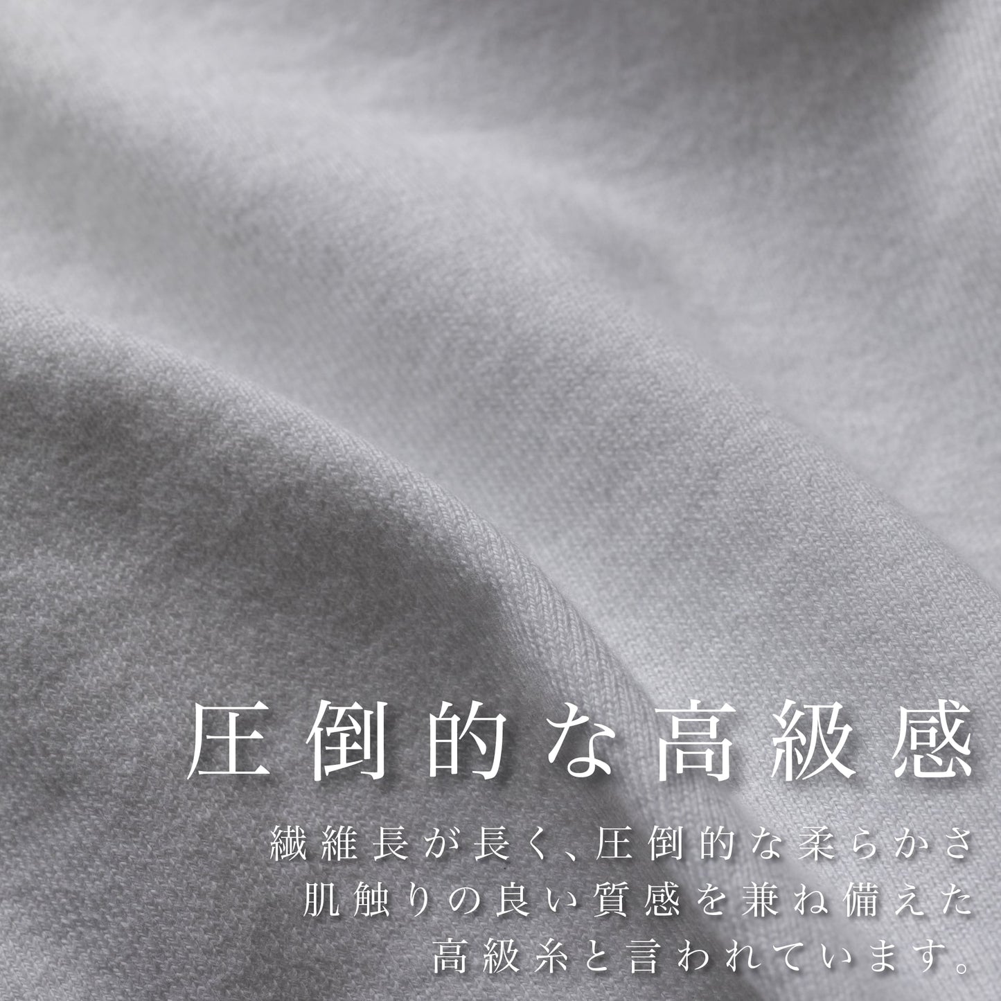 ラグジュアリーな"高級Tシャツ"(シーアイランド種)