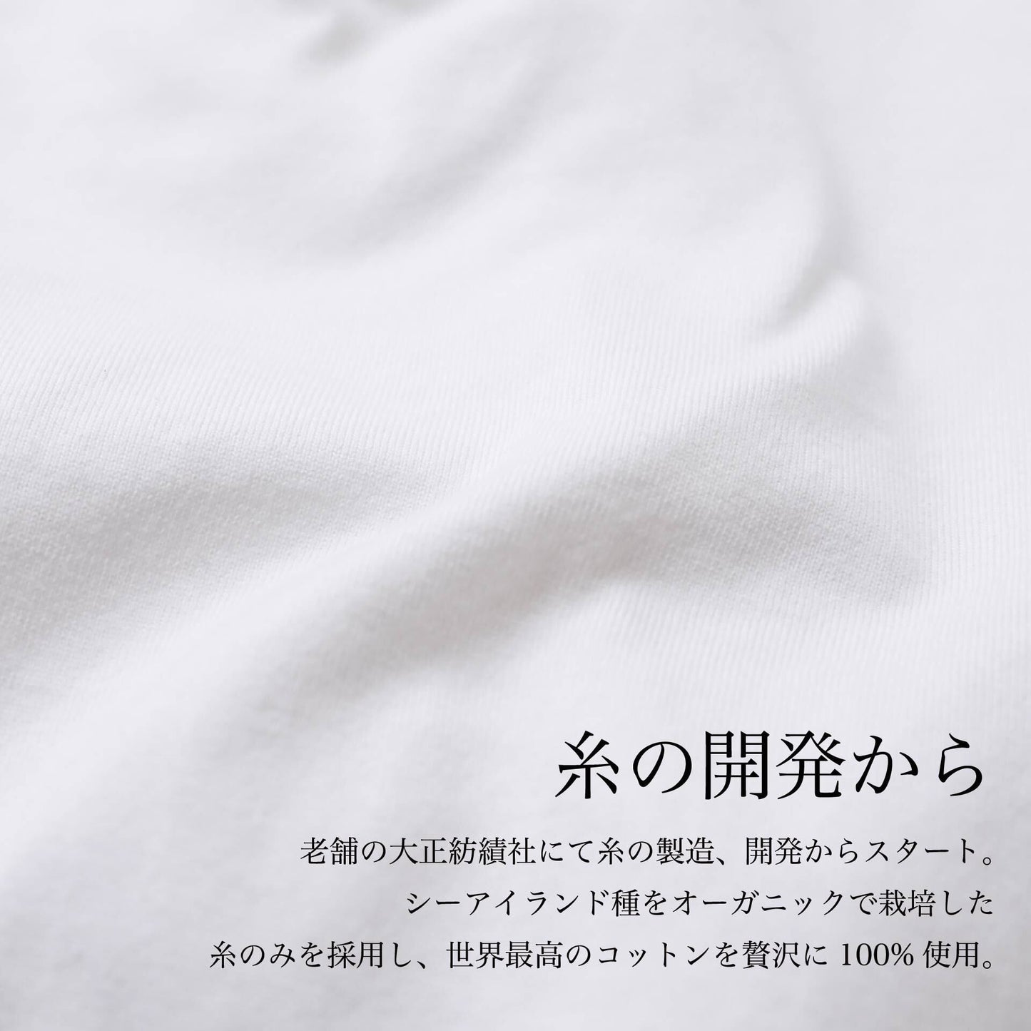"こなれ感"を演出する「とろける高級ロンT(シーアイランド種)」