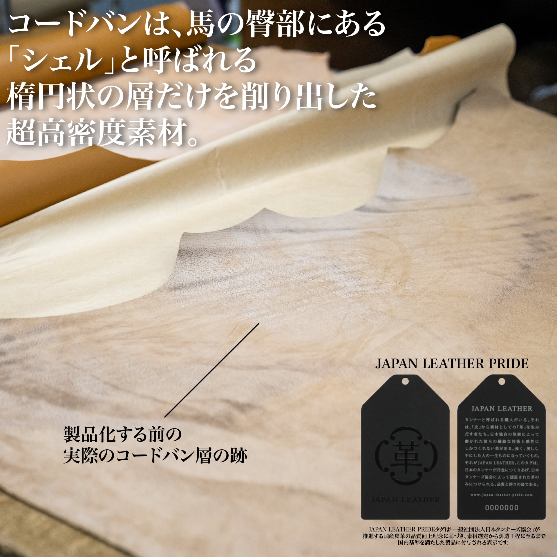 コードバンベルト 日本製｜希少レザーの美しい艶｜Japan Made屋