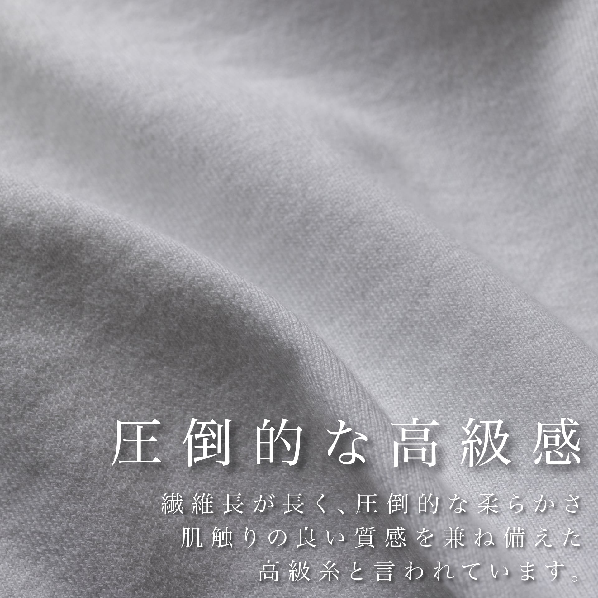 "高級Tシャツ"（シーアイランド種）~RELAXシリーズ - Japan Made屋
