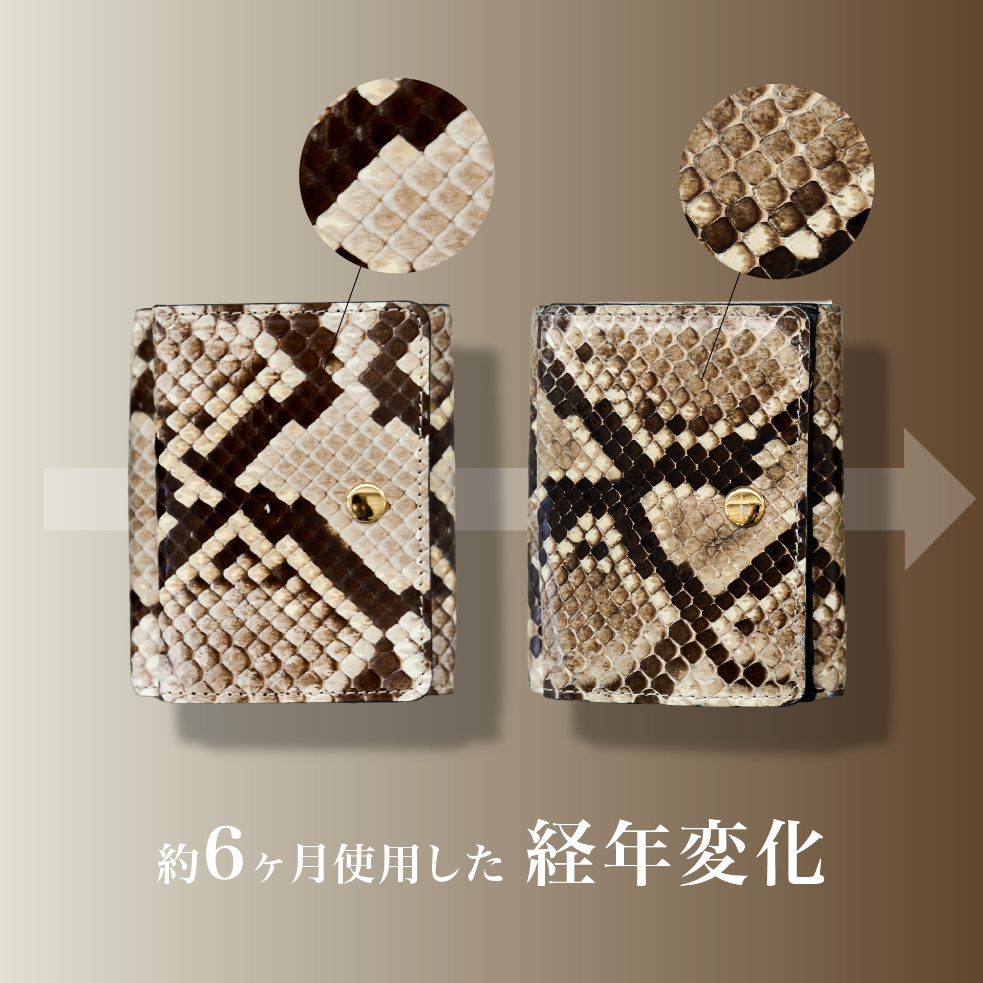 『三つ折り財布〜パイソン革〜』 - Japan Made屋